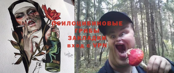 ГАЛЛЮЦИНОГЕННЫЕ ГРИБЫ Баксан