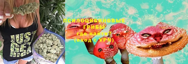 spice Беломорск