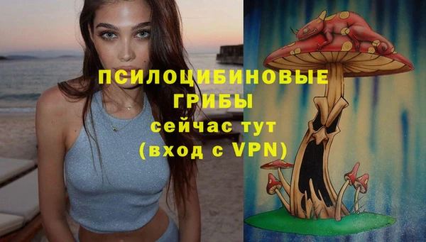 ГАЛЛЮЦИНОГЕННЫЕ ГРИБЫ Баксан