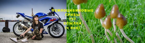 spice Беломорск