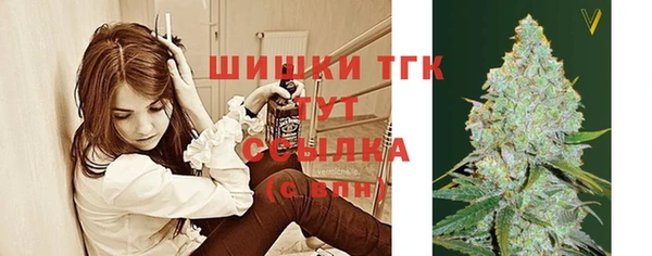 spice Беломорск