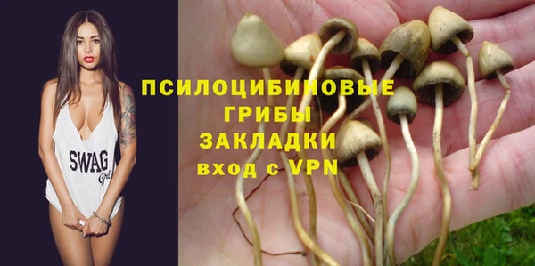 амф Белокуриха