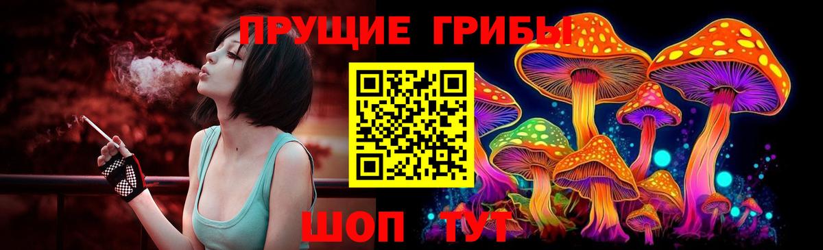 Псилоцибиновые грибы прущие грибы  Вход с VPN  Галлюциногенные грибы ЛСД  Сердобск 