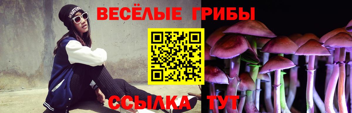 Псилоцибиновые грибы мухоморы Сердобск